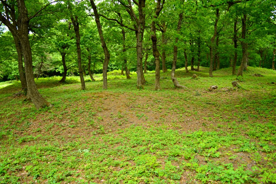 Tenjindo Kofun Group, gaikan