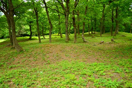 Tenjindo Kofun Group, gaikan