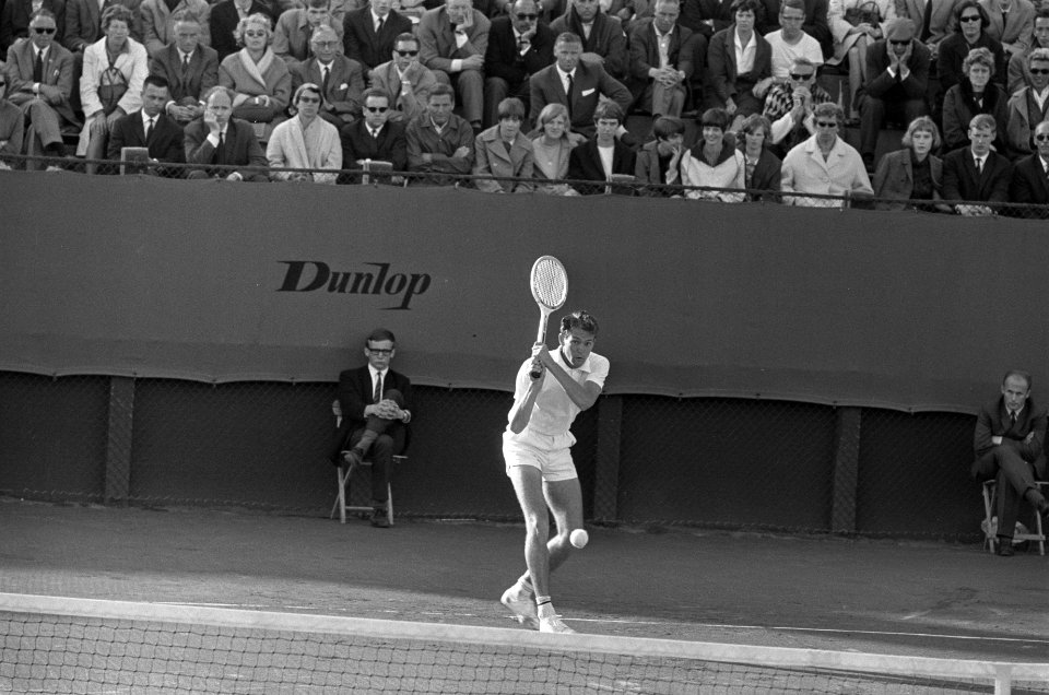 Tennisser Drysdale in aktie, Bestanddeelnr 919-3021