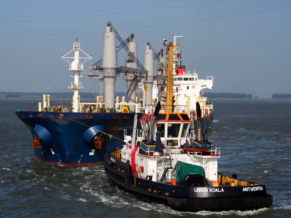 Tenacity - IMO 9647887, Port of Antwerp pic 5
