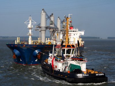 Tenacity - IMO 9647887, Port of Antwerp pic 5