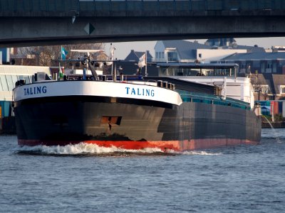 Taling, ENI 02332074 op het Amsterdam-Rijn kanaal, foto 2