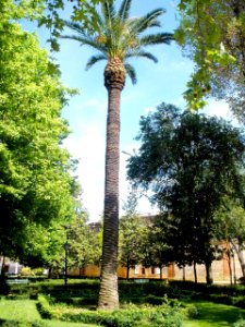 Talavera de la Reina - Jardines del Prado 21