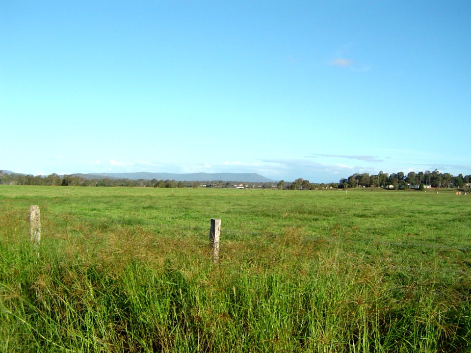 Tamborine Mountain from Chambers Flat