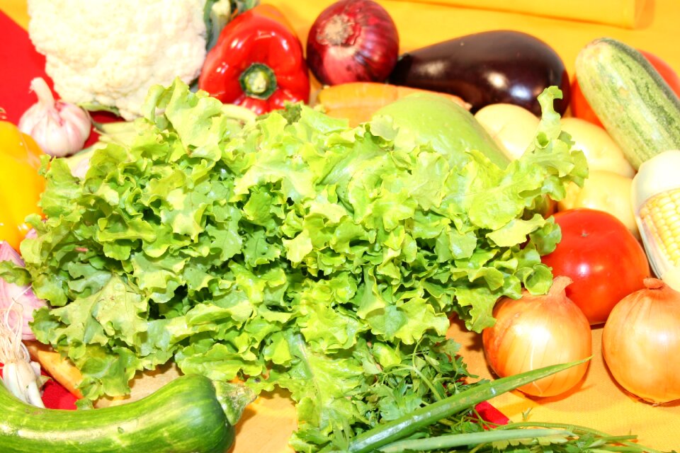 Kitchen meal gastronomy