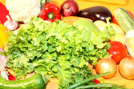Kitchen meal gastronomy