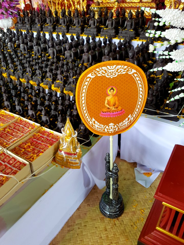 Talipot fan - Wat Hiranyawat - Chiang Rai - 2017-01-02 - 003