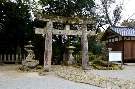 Takasu-jinja (Itoshima), torii-2