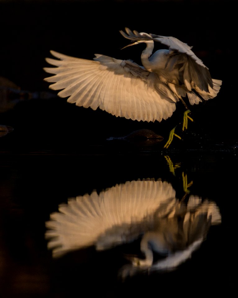 Take off with reflection
