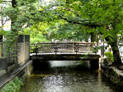 Takase River (Kyoto) - DSC05902