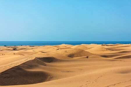 Dunes sand ocean photo