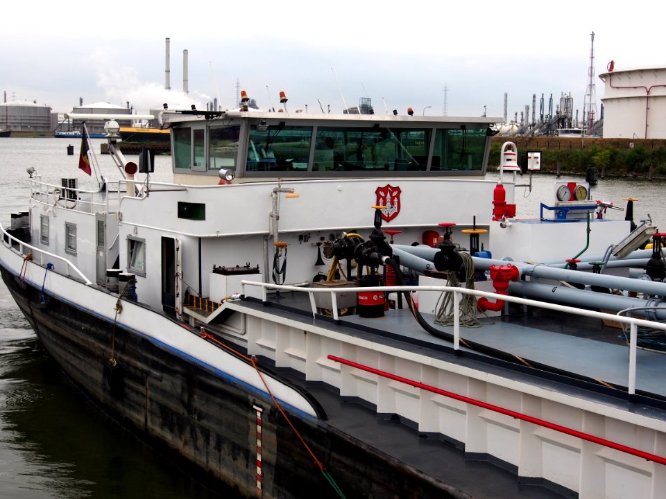 Tadorna - ENI 06004255, Van Cauwelaertsluis, Port of Antwerp pic7