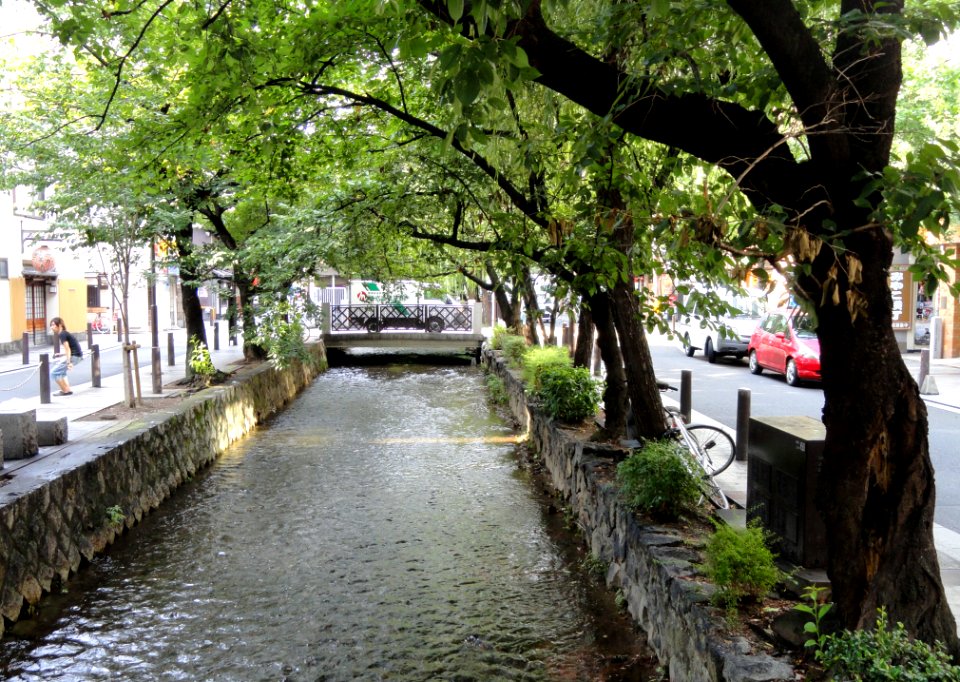 Takase River (Kyoto) - DSC05906
