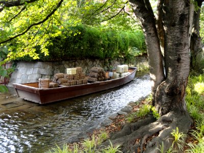 Takase River (Kyoto) - DSC05936