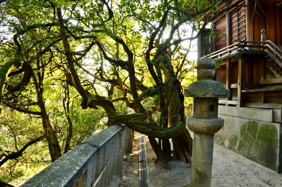 Takamoro-jinja, haku