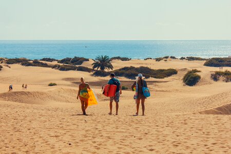 Bathing beach summer
