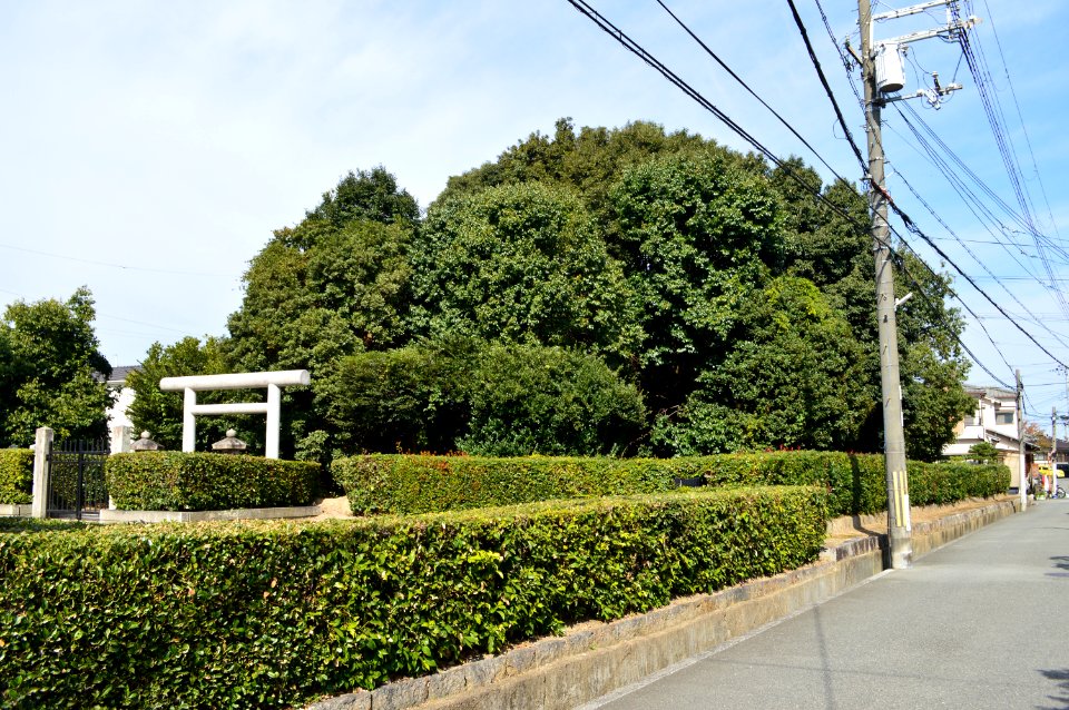 Takaya Hachiman-yama Kofun, funkyu
