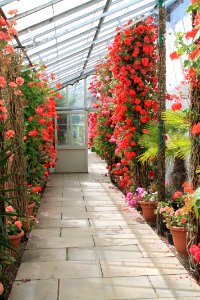 Temple Newsam 2019-05-24 (30)
