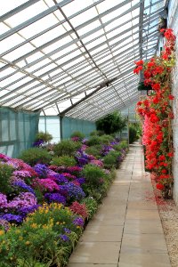 Temple Newsam 2019-05-24 (31)
