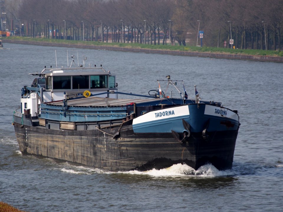 Tadorna - ENI 02315870, Amsterdam-Rijnkanaal, pic3