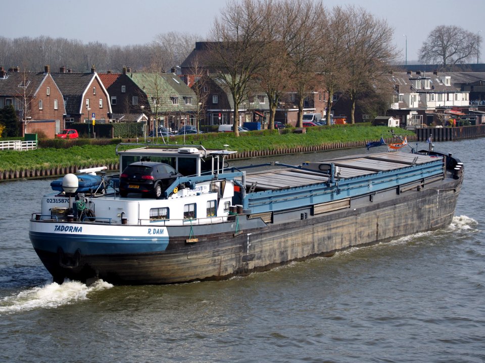 Tadorna - ENI 02315870, Amsterdam-Rijnkanaal, pic5