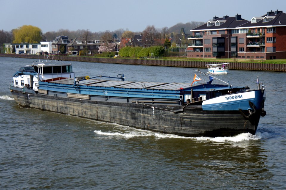 Tadorna - ENI 02315870, Amsterdam-Rijnkanaal, pic1