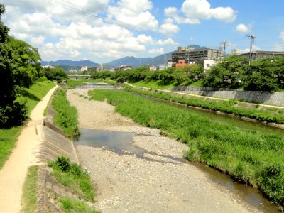 Tadasu River Banks - Kamo River - Kyoto - DSC06595