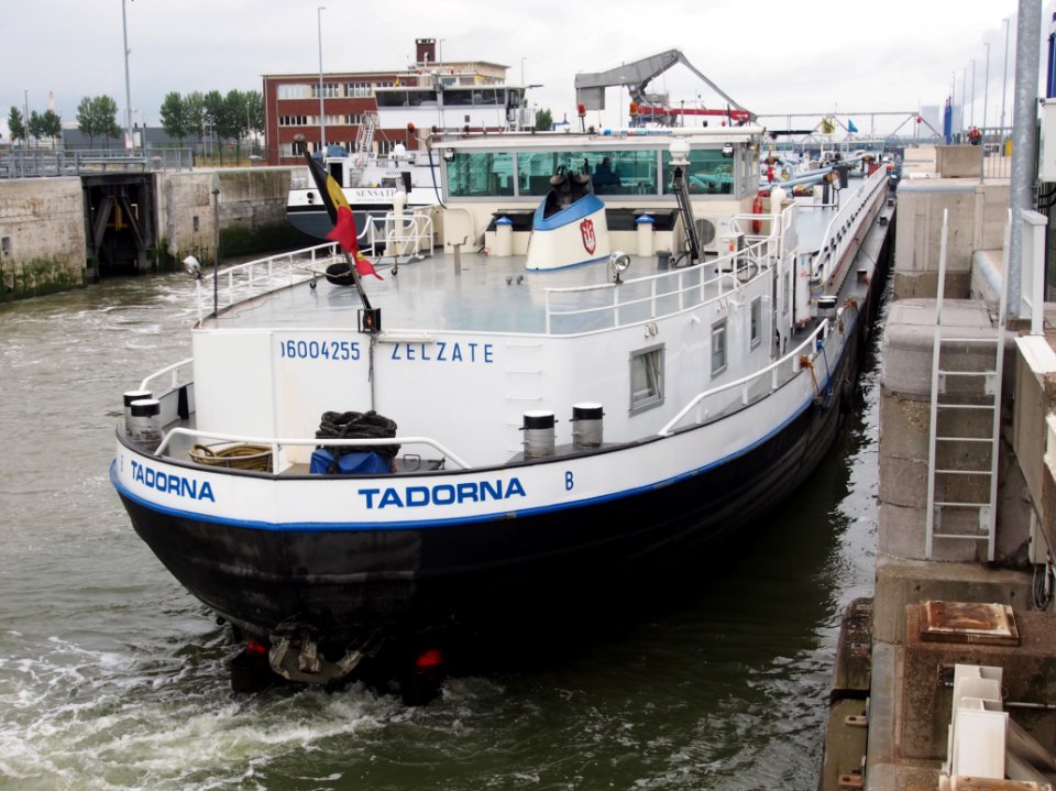 Tadorna - ENI 06004255, Van Cauwelaertsluis, Port of Antwerp pic9