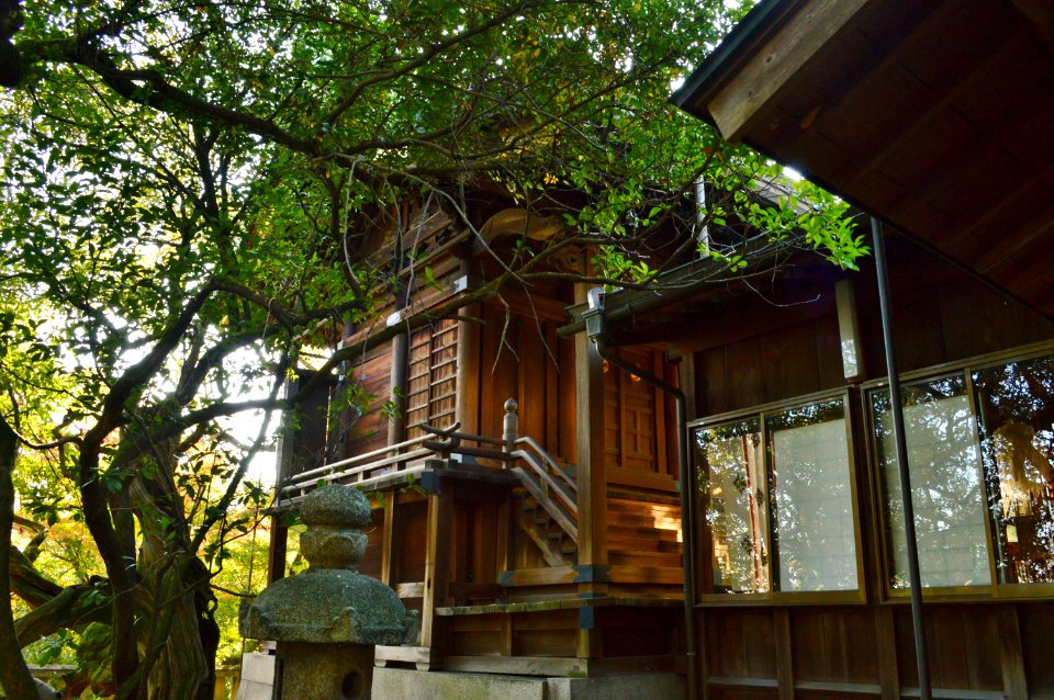 Takamoro-jinja, honden