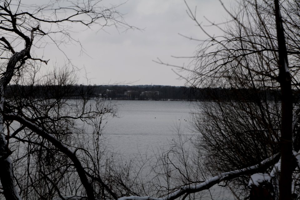 Templiner See Potsdam 2021-02-07 02
