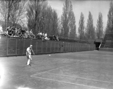 Tennis Petra DVV, Bestanddeelnr 902-6881