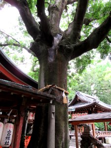 Takenobu Inari-jinja 017