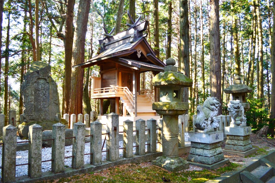 Takatsuno-jinja, honden