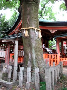 Takenobu Inari-jinja 019