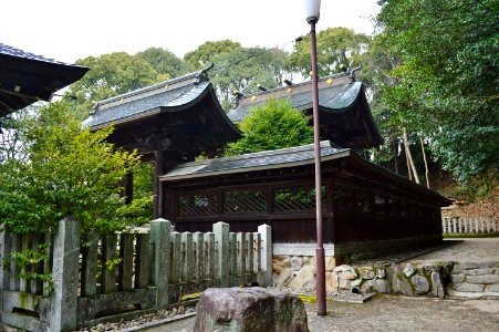 Take-jinja, honden