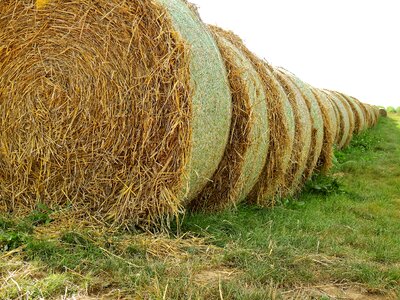 Straw bales round bales landscape