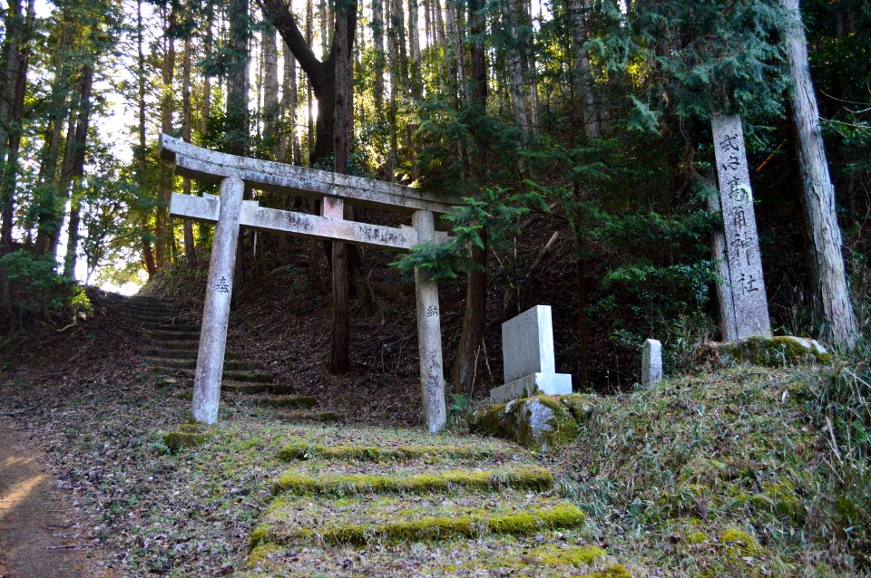 Takatsuno-jinja, torii