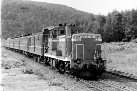 Tempoku Express approaching Otoineppu Station 198807
