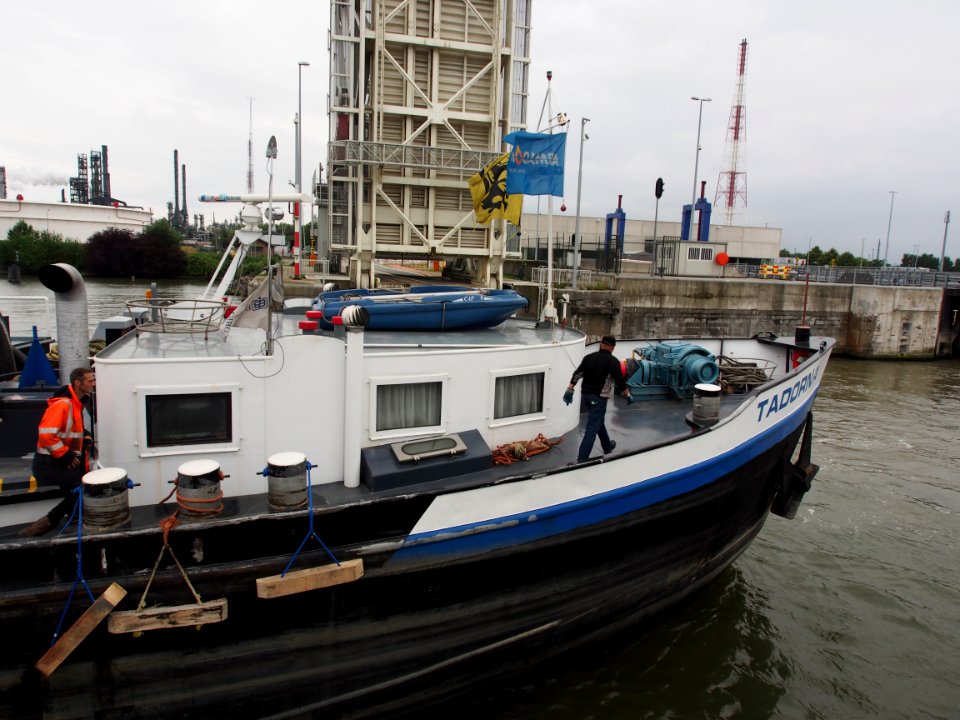 Tadorna - ENI 06004255, Van Cauwelaertsluis, Port of Antwerp pic4