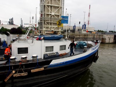 Tadorna - ENI 06004255, Van Cauwelaertsluis, Port of Antwerp pic4