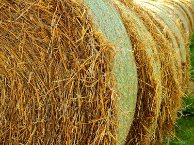 Straw bales round bales landscape