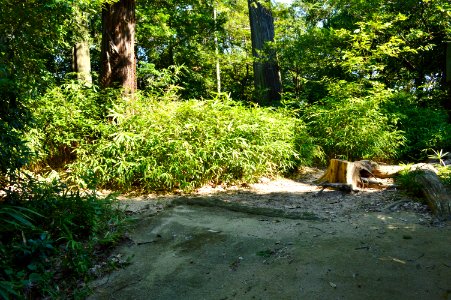 Tenno-no-mori Kofun, kouenbu
