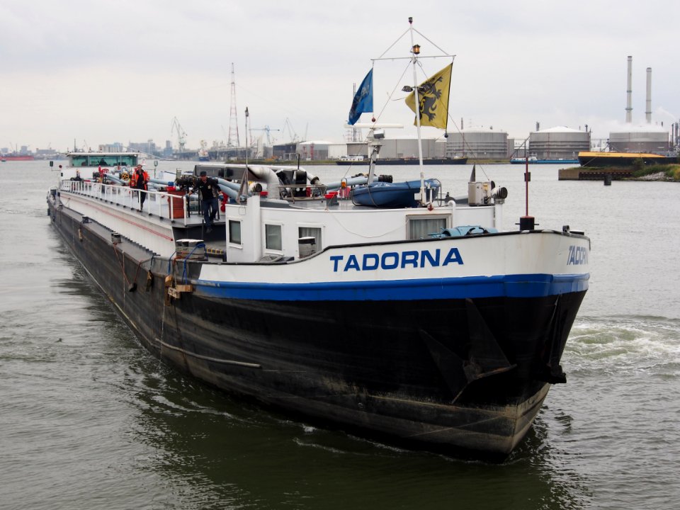 Tadorna - ENI 06004255, Van Cauwelaertsluis, Port of Antwerp pic2