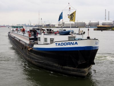 Tadorna - ENI 06004255, Van Cauwelaertsluis, Port of Antwerp pic2