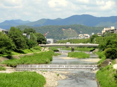 Tadasu River Banks - Kamo River - Kyoto - DSC06594