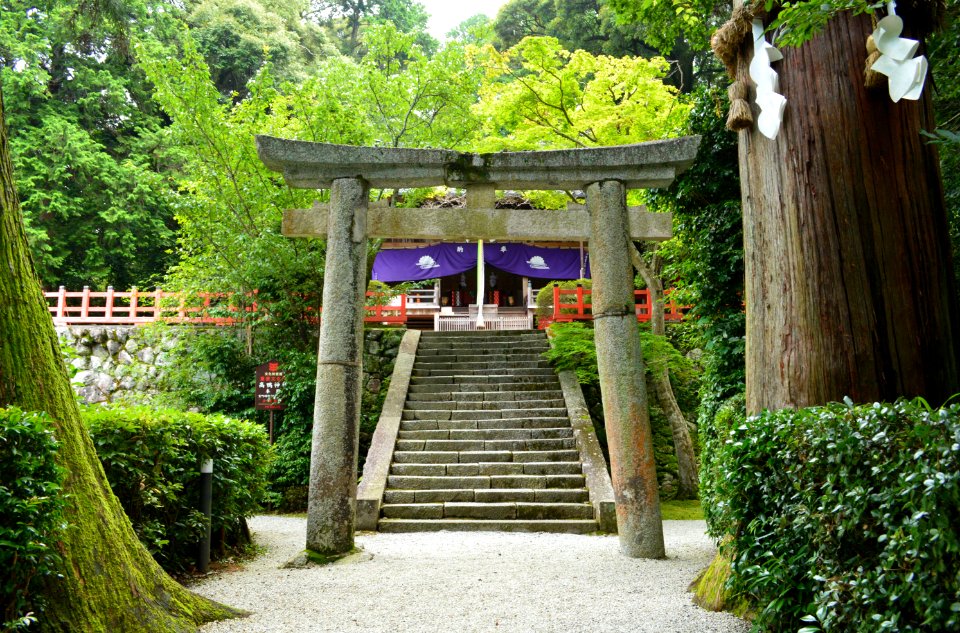 Takakamo-jinja, torii