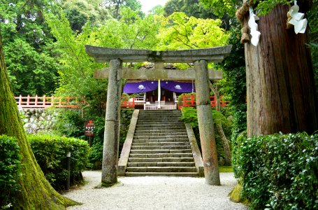 Takakamo-jinja, torii