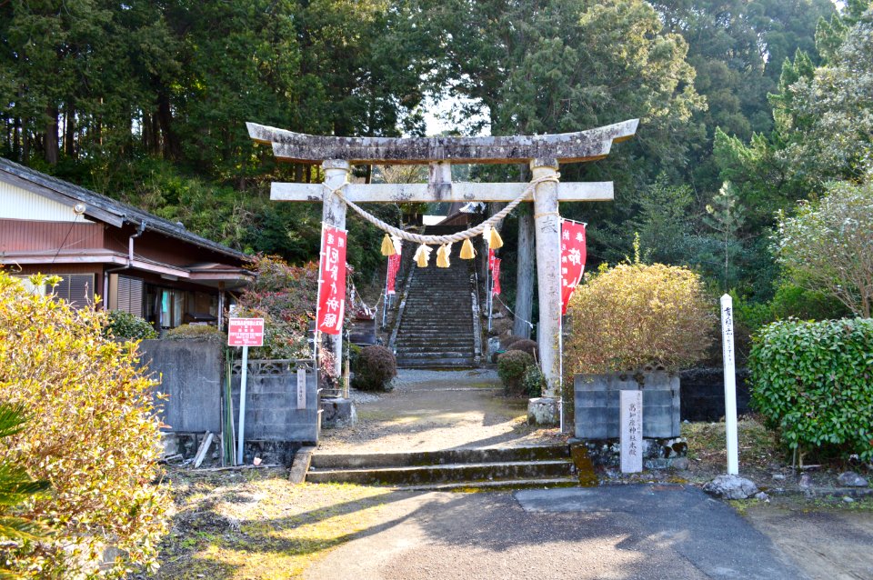 Takachiniimasu-jinja, torii