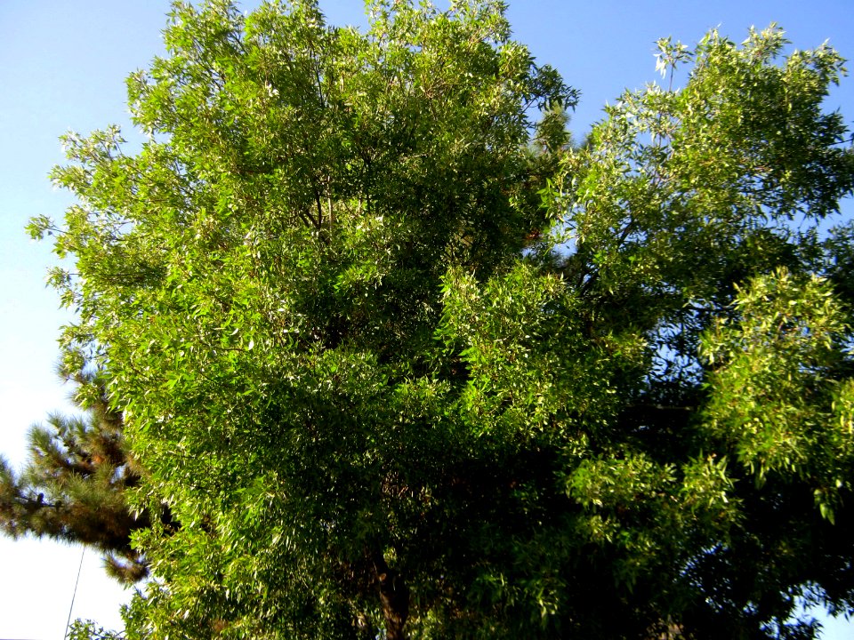 Takhti Park - Nishapur 08