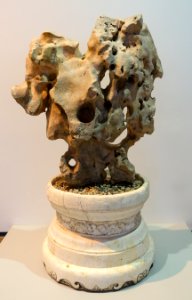 Taihu rock on marble pedestal, China, late Ming to early Ching dynasty, mid 1600s AD - Ethnological Museum, Berlin - DSC01421